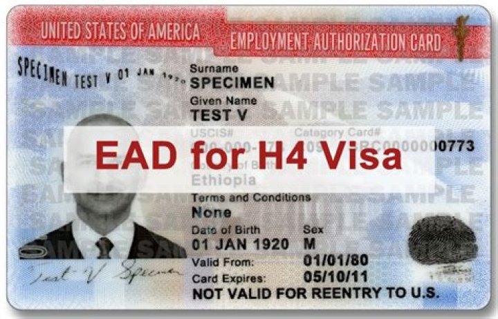 Can I freelance on H4 EAD?