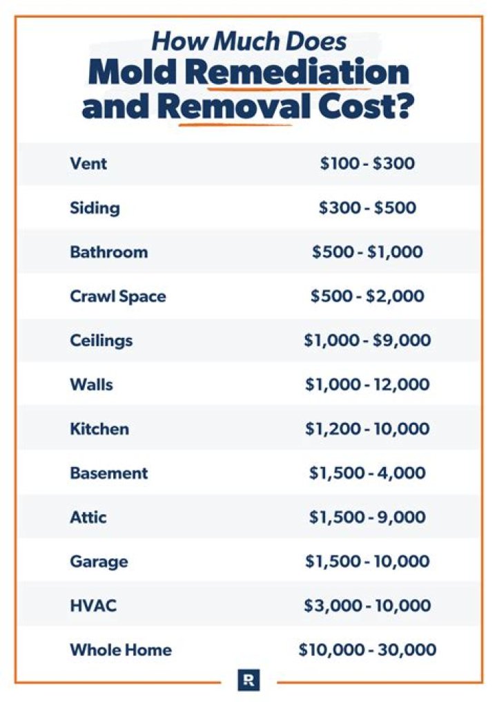 Can you write off mold remediation?
