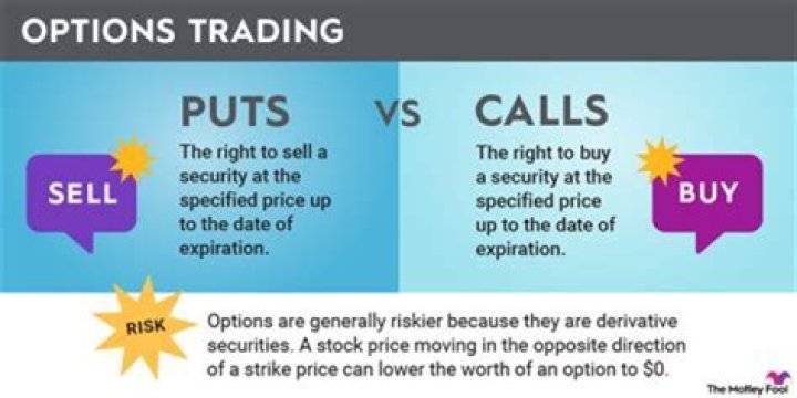Do directors get stock options?