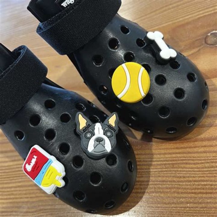 Do dog need shoes?