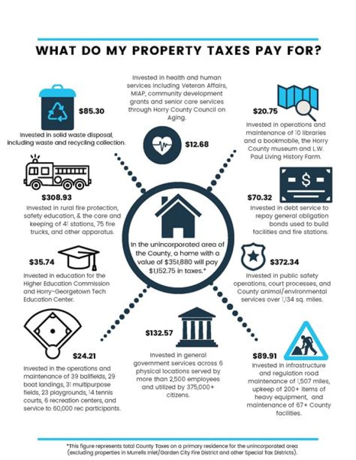 Do owners pay taxes?