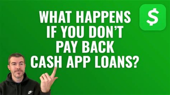 Do you have to pay back SIMPLE IRA?