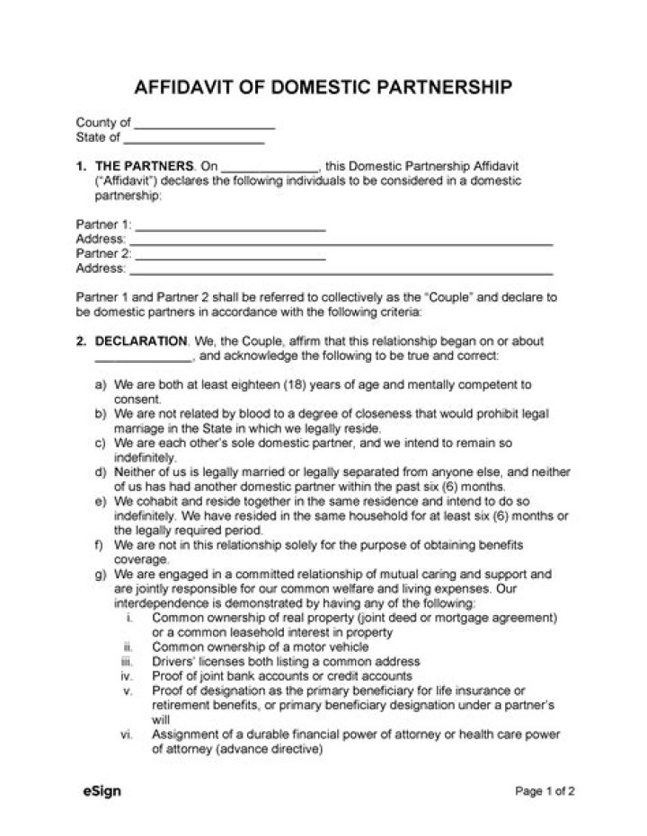 Does a domestic partner count as a dependent?