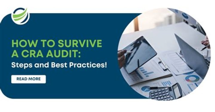 Does CRA audit charities?