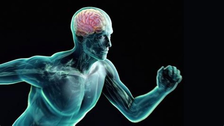 Does exercise increase IQ?