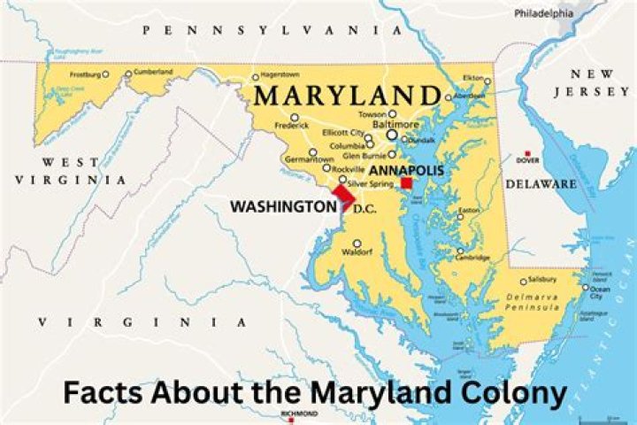 Does Maryland have a w4?