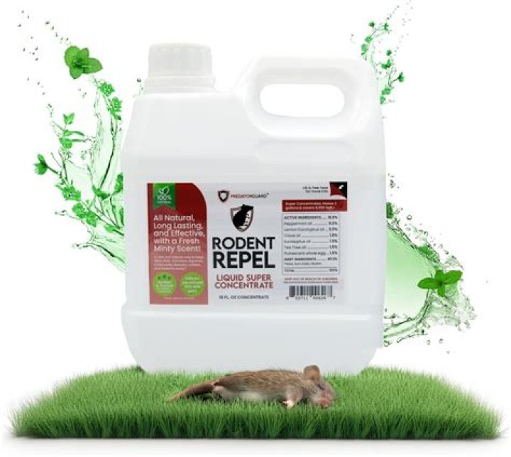 Does white vinegar repel rodents?