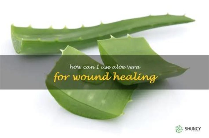 How can I use aloe vera?