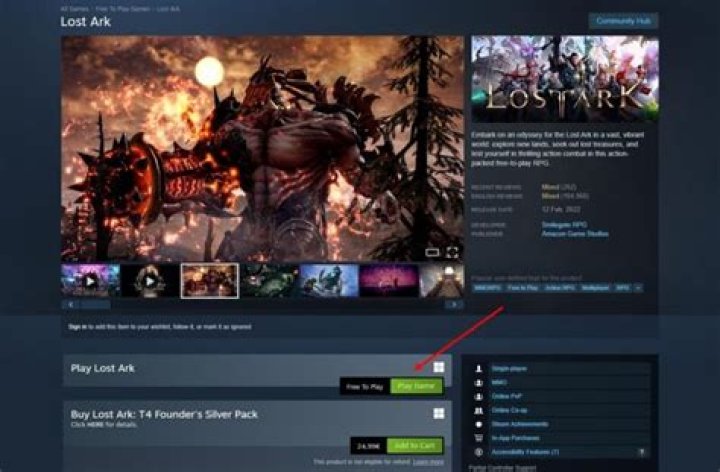 How do I install Lost Ark?