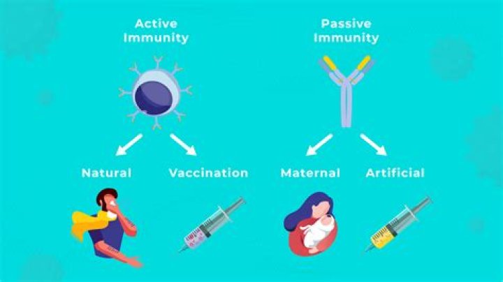 How long does natural immunity to COVID?