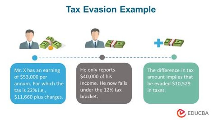 How much do tax experts charge?