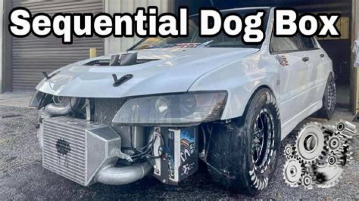 Is a dog box sequential?