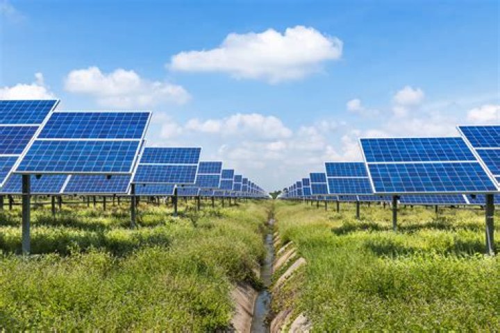 Is building a solar farm profitable?