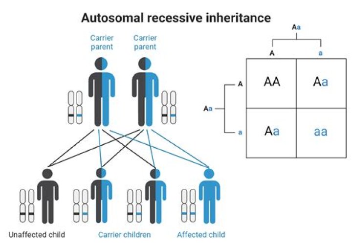 Is disability affected by inheritance?