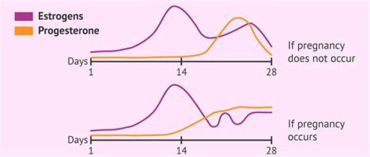 Is drospirenone a progesterone?