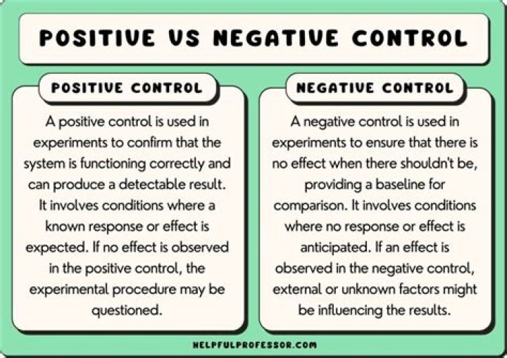 Is it better to be positive or negative geared?
