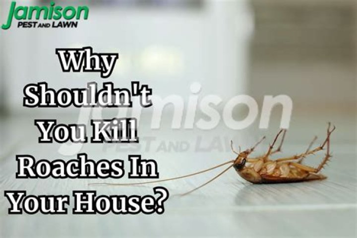 Should we kill cockroaches?