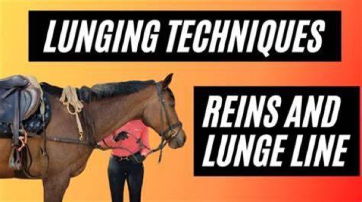 Should you lunge a horse in a bridle?