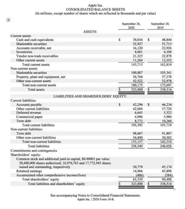 What accounting information do shareholders need?
