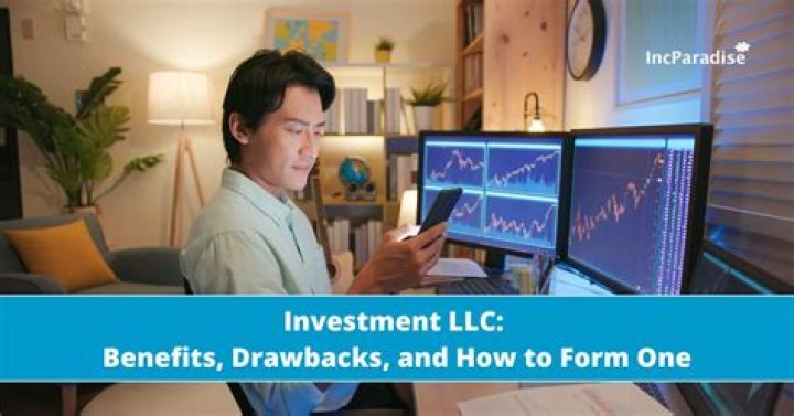 What does an investment LLC do?