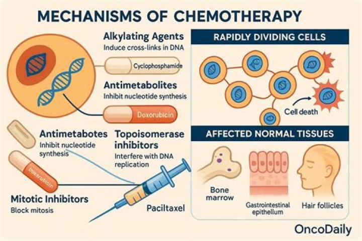 What does long-term chemotherapy do to you?
