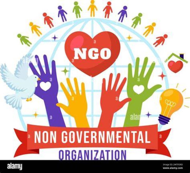 What is an NGO in France?