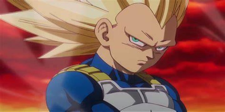 What is Vegeta's age?
