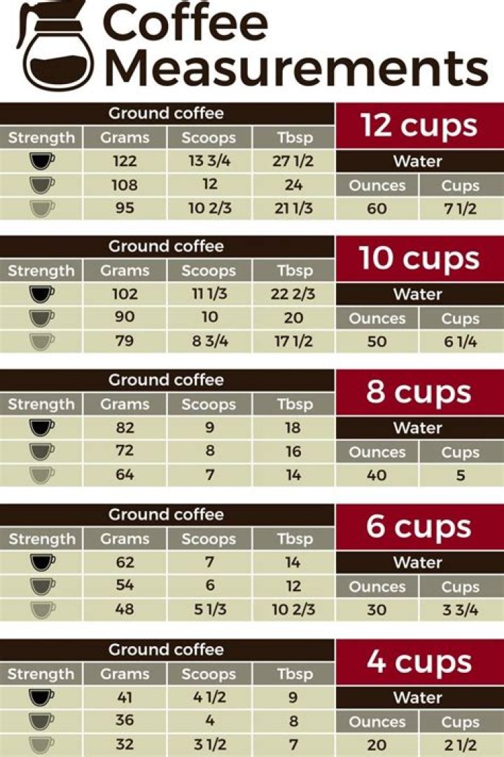What size is a 12 cup coffee filter?