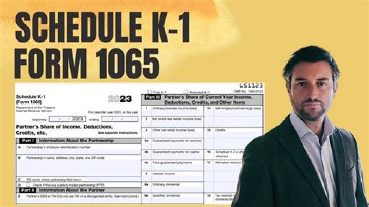 Where are the codes on the Schedule K-1?