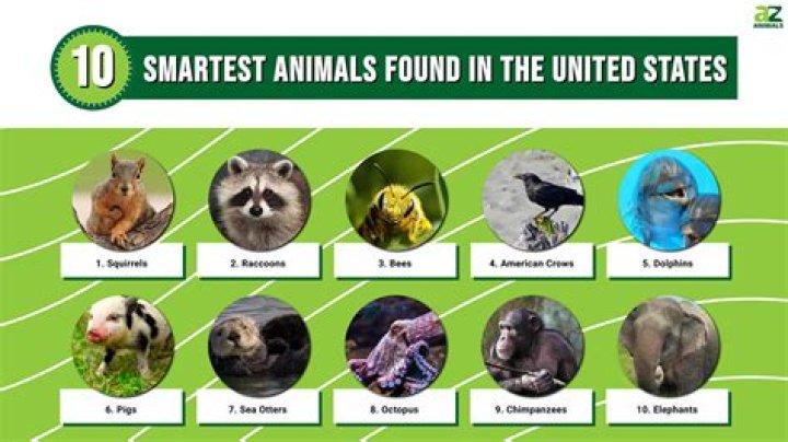Which kid is the smartest?