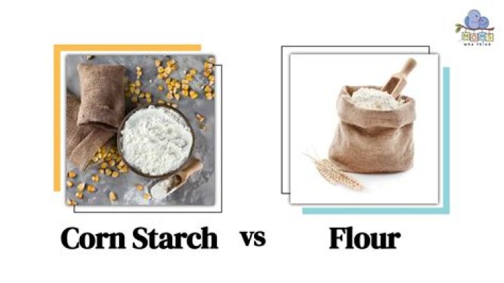 Who discovered flour?