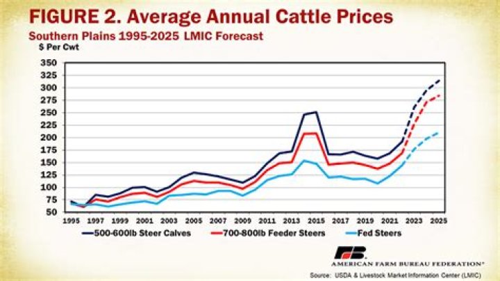 Why are cattle futures falling?