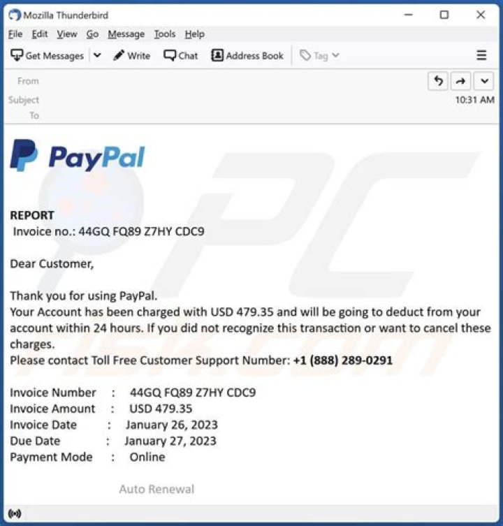 Why is my PayPal transfer delayed 72 hours?