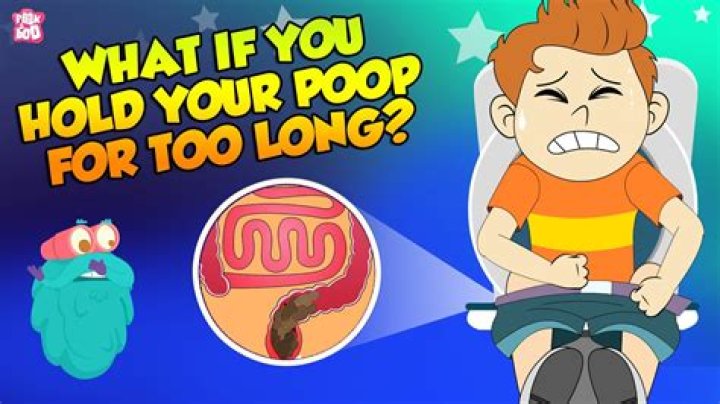 Will cats hold their poop?